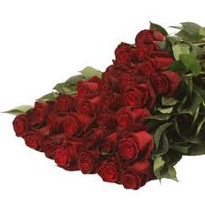 5 rote Rosen mit Gräsern